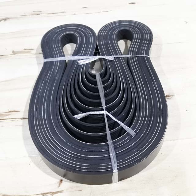 Yuchai Parts Belt 8pk1600 - Image 2